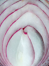 The core of an onion